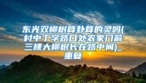 东光双柳树算卦算的灵吗(村中丁字路口处农家门前三棵大柳树长在路中间)_重复