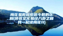 梅花易数和紫薇斗数的区别(传统文化易经八卦之和我一起读梅花11)