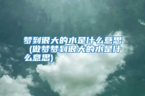 梦到很大的水是什么意思 (做梦梦到很大的水是什么意思)