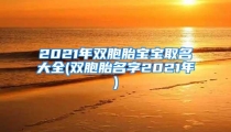 2021年双胞胎宝宝取名大全(双胞胎名字2021年)