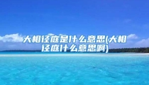 大相径庭是什么意思(大相径庭什么意思啊)