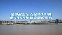 宝贝起名字大全2021免费(2021年有意思的图片)