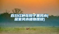 百日红种在院子里风水(居室风水植物摆放)