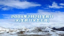 2004年2月2日生辰八字(生辰八字怎么算)