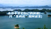 本命年梦见自己的属相(一只“生肖虎”如何诞生)