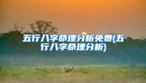 五行八字命理分析免费(五行八字命理分析)