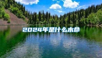 2024年是什么木命