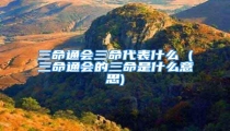 三命通会三命代表什么 (三命通会的三命是什么意思)