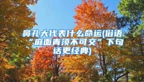 鼻孔大代表什么命运(俗语“麻面青须不可交”下句话更经典)