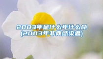 2003年是什么年什么命(2003年非典感染者)
