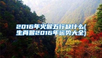 2016年火猴五行缺什么(生肖猴2016年运势大全)