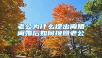 老公为什么提出离婚离婚后如何挽回老公