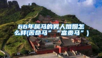 66年属马的男人婚姻怎么样(苦命马”“富贵马”)