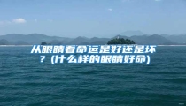 从眼睛看命运是好还是坏?(什么样的眼睛好命)