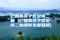 已婚有孩子梦见怀二胎 (已婚有孩子梦见怀二胎啥时生都知道)