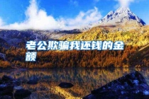 老公欺骗我还钱的金额