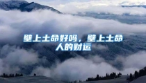 壁上土命好吗，壁上土命人的财运