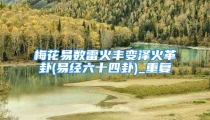 梅花易数雷火丰变泽火革卦(易经六十四卦)_重复