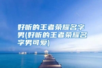 好听的王者荣耀名字男(好听的王者荣耀名字男可爱)