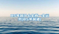 85年属什么生肖一生运势(85年属猪)