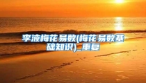 李液梅花易数(梅花易数基础知识)_重复