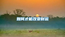 如何才能改变财运