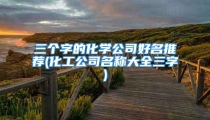 三个字的化学公司好名推荐(化工公司名称大全三字)
