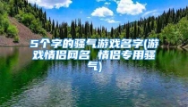 5个字的骚气游戏名字(游戏情侣网名 情侣专用骚气)