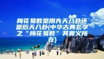 梅花易数是用先天八卦还是后天八卦(中华古典玄学之“梅花易数”其奥义所在)