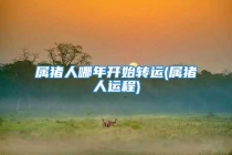 属猪人哪年开始转运(属猪人运程)