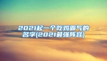 2021起一个吃鸡霸气的名字(2021最强阵容)