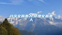 八字文昌贵人,命理文昌贵人