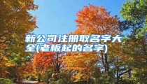 新公司注册取名字大全(老板起的名字)