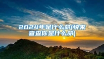 2024年是什么命(快来查查你是什么命)