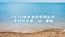 2020鼠年本命年的运势(年底收获第二冠)_重复