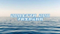 己巳日生于子时 己巳日子时生命运好吗