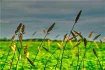 梦到死尸是什么意思 (梦到死尸是什么意思周公解梦)