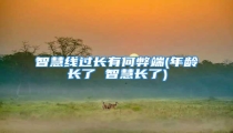 智慧线过长有何弊端(年龄长了 智慧长了)