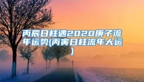 丙辰日柱遇2020庚子流年运势(丙寅日柱流年大运)