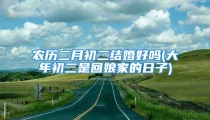 农历二月初二结婚好吗(大年初二是回娘家的日子)