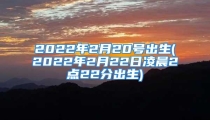2022年2月20号出生(2022年2月22日凌晨2点22分出生)