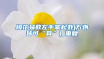 梅花易数左手掌起卦(万物皆可“算”)_重复
