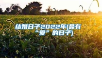 结婚日子2022年(最有“爱”的日子)
