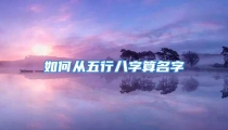 如何从五行八字算名字