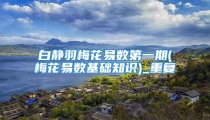 白静羽梅花易数第一期(梅花易数基础知识)_重复