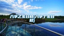 八字乙亥日柱(八字丁亥日柱)