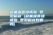 寂寞深宫终成灰 梦见稻谷 (寂寞深宫终成灰 梦见稻谷好看吗)