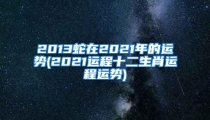 2013蛇在2021年的运势(2021运程十二生肖运程运势)