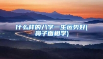 什么样的八字一生运势好(鼻子面相学)