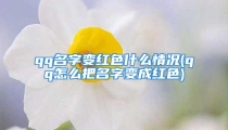 qq名字变红色什么情况(qq怎么把名字变成红色)